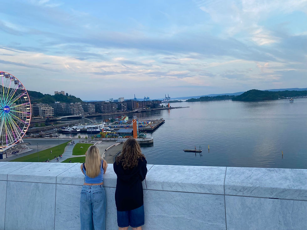 Roof of Opera House in Oslo