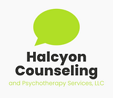 Halcyon_white background logo-png.png