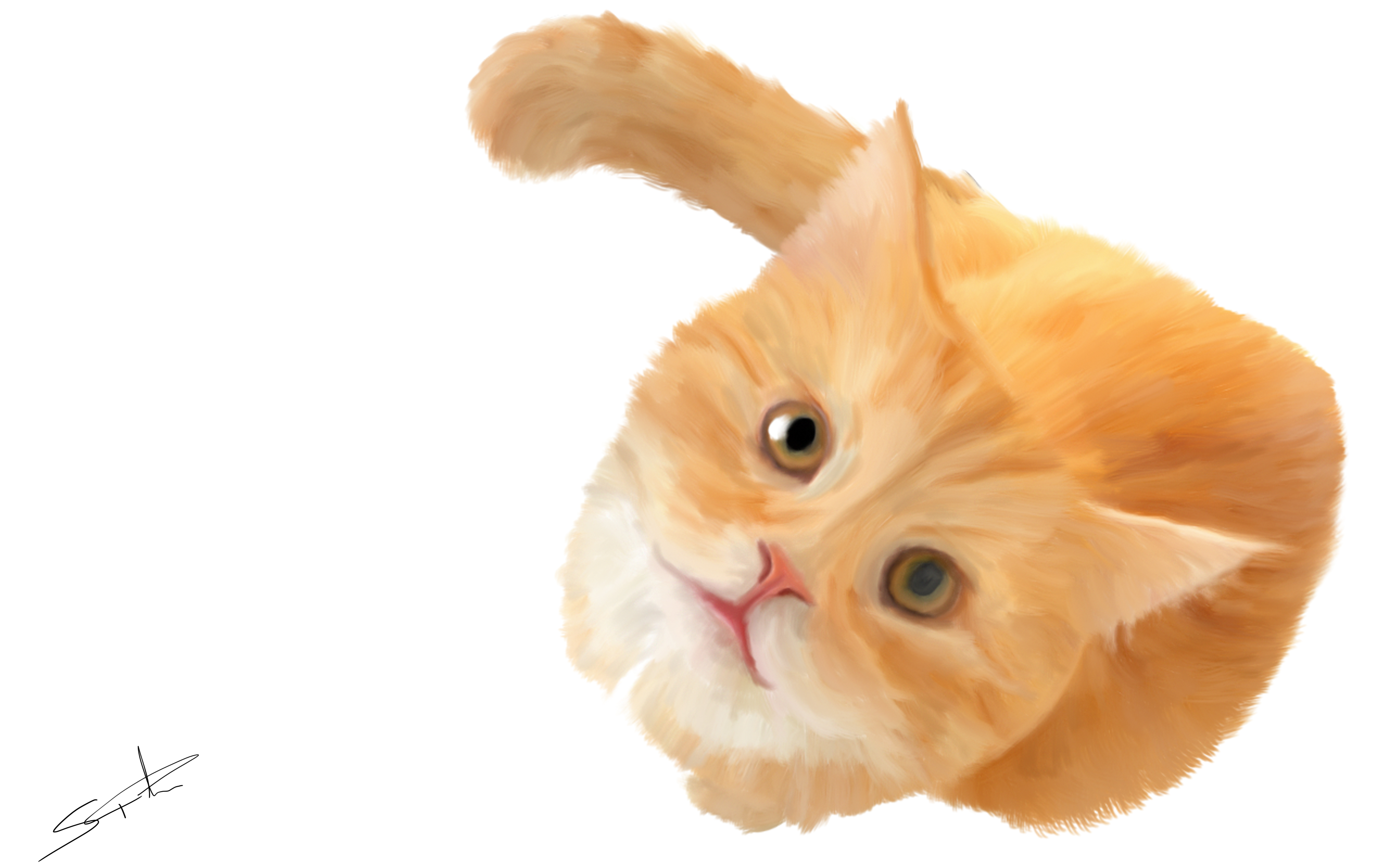 Ginger Cat