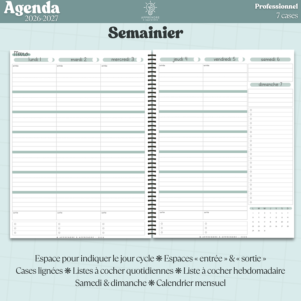 Miniature : Agenda 2026-2027 / Professionnel 7 cases (PDF)