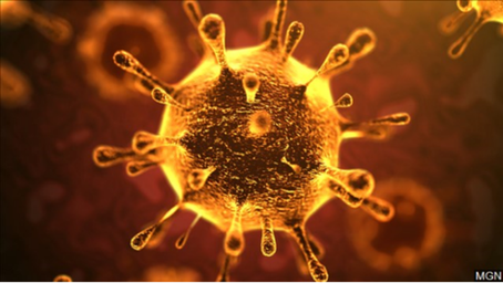 Nuevo Coronavirus