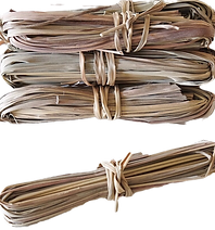 citronnelle_edited_edited.png