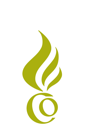 Alternate small Logo for TradeBoost CO