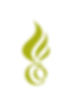 Tradeboost Co logo: stylized flame over 'CO'