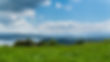 Onuku Pictures-105.JPG