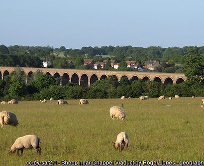 geograph-4517827-by-Roger-Jones (1).jpg