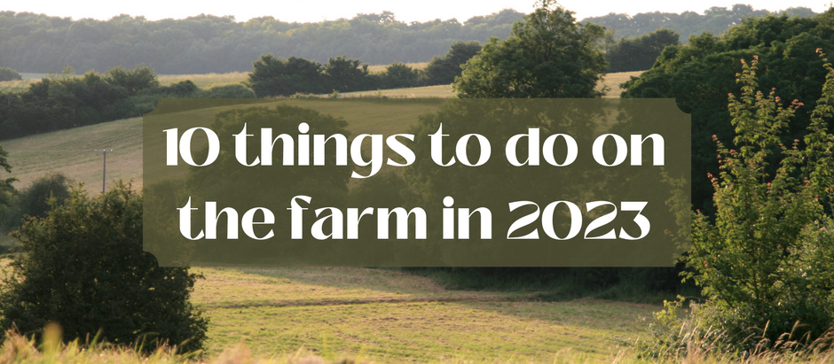 10 things to do on the farm in 2023