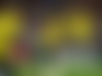 Humillación en el Maracaná: Millonarios Sufre Derrota 3-0 ante Flamengo