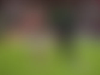 Atlético Nacional Busca la Cima del Fútbol Colombiano en un Enfrentamiento con Independiente Santa F