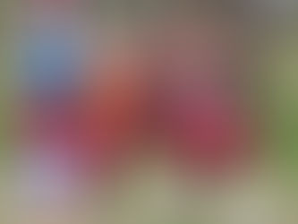 Inicia el camino: Deportes Tolima confirmó sus convocados para el debut ligero