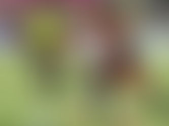 Lesión de 'Cariaco' González Deja un Vacío en Junior