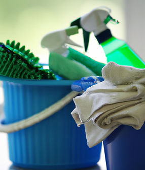 cleaning in house blue and green.jpg