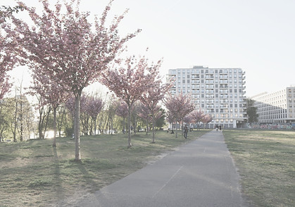Cherry trees in Berlin_edited.jpg