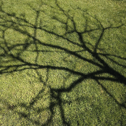 Screenshot 2022-04-29 at 11.31.03.png