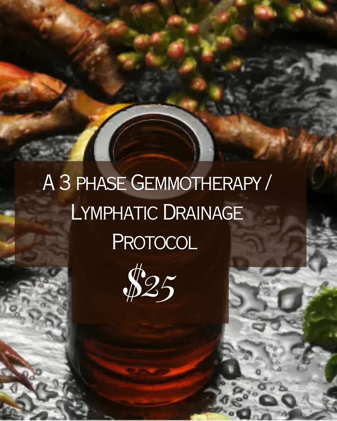 A 3 phase Gemmotherapy Drainage Protocol (NO SUPPLEMENTS)