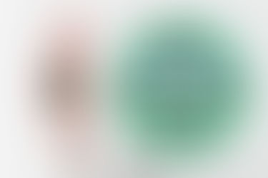 Long Term Use of Antibiotics Does Not Heal Chronic Lyme