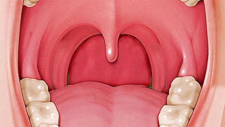 WhatsApp Image 2021-03-29 at 5.00.23 PM.