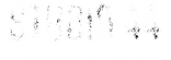 Studio 44 Productions_Logo_White