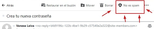 9b55f18f-b78b-476d-b261-f721cbf0e5d0.jpeg