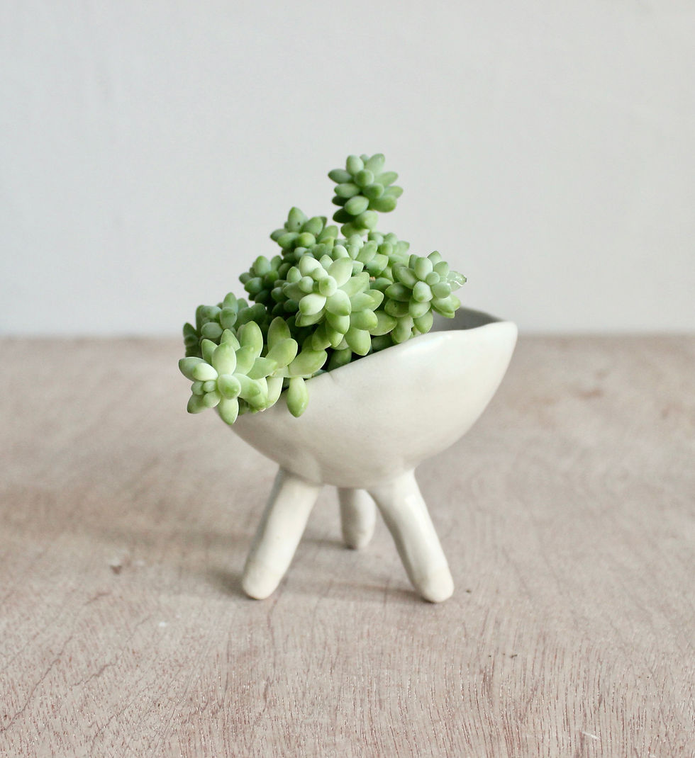 Ceramic Planter with legs