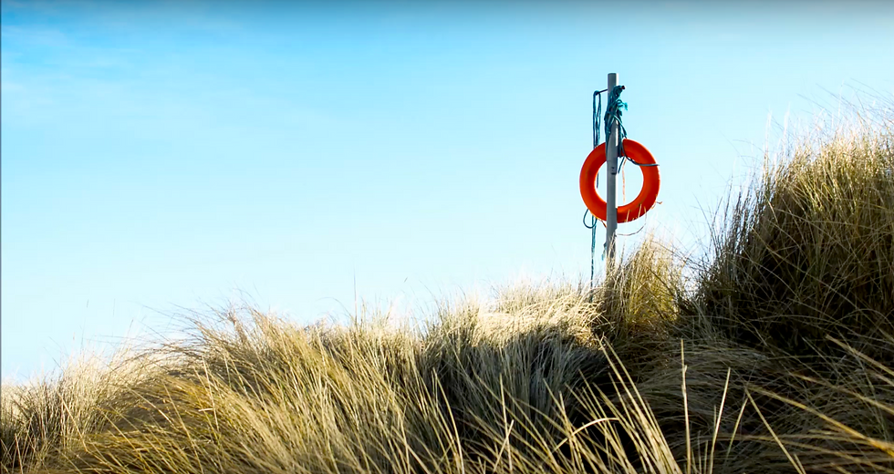 Lifebuoy