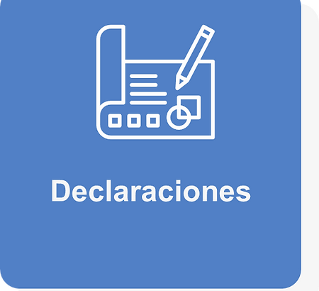 3.1 Declaraciones.png
