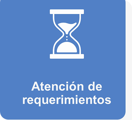 3.3 Atención de requerimientos.png