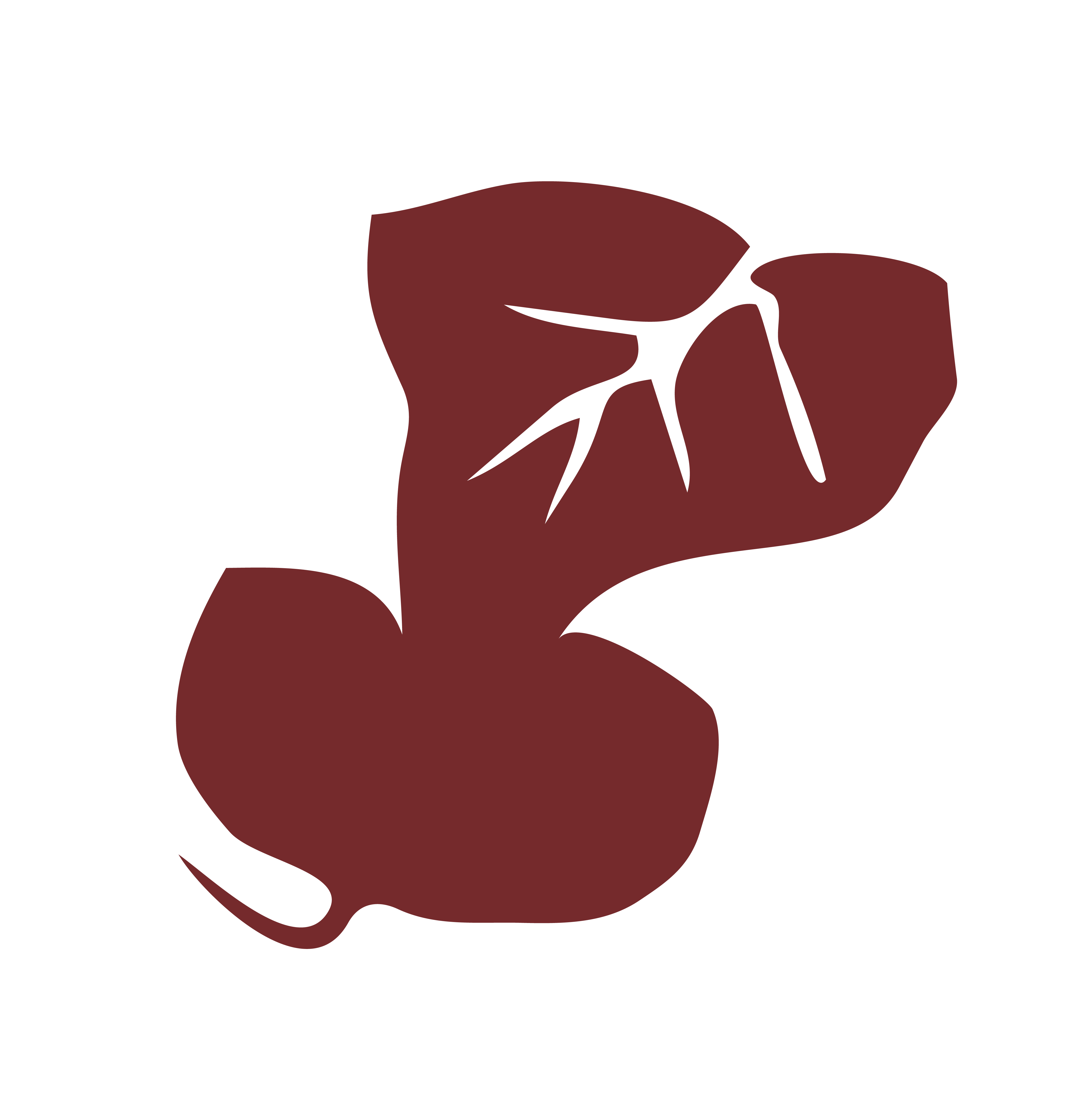 Foto van schrijver: Stadskas Winsel