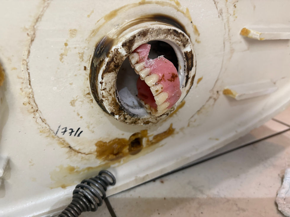 Dentures stuck in a toilet during plumbing services