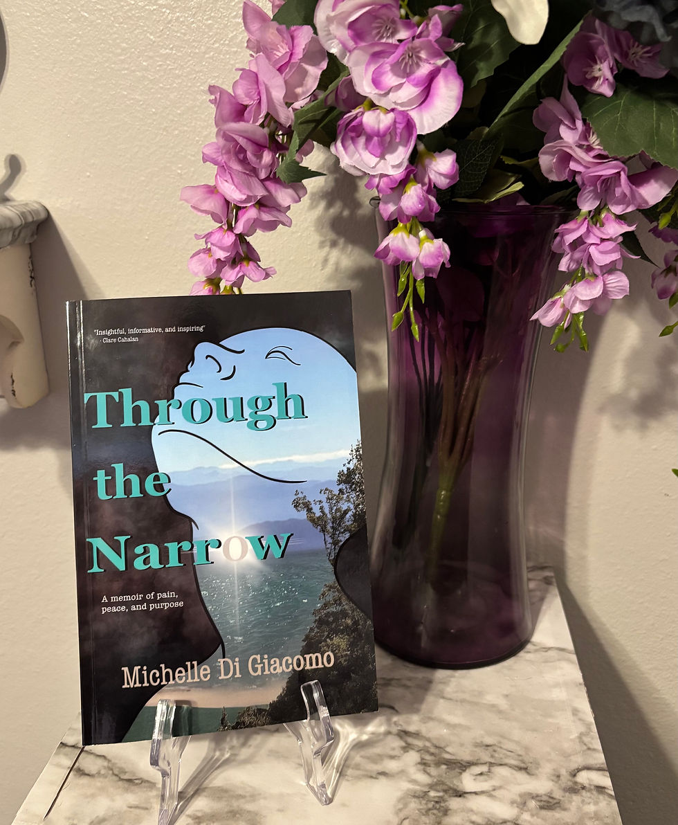 In Conversation With the Author 