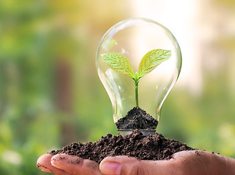 plant growth_edited.jpg
