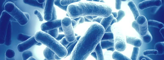 Sterk uitvergrote illustratie van vijverbacteriën die een belangrijke rol spelen in het biologisch evenwicht van een vijver.