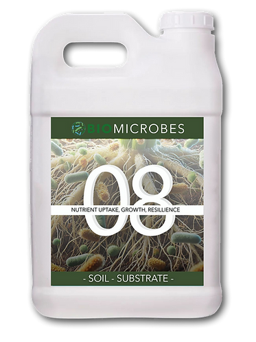 BIOMICROBES 08, microbial biostimulant for rooting, nutrient efficiency and uniform crop growth, root strength and resilience