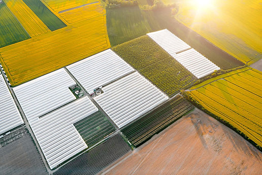 y14M1yDNPNs_FSTP7xiPK_DO_z7jlOY0ry7zzAsl1zrV9VrBfwDxB6Ro5dMA-ivYlhgn02MFgpm-pRwFwrnbG3noFs