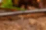 Dripline_edit-2.webp