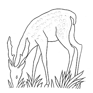 Charles_Catteau_deÌcor_imprimeÌ_Collec