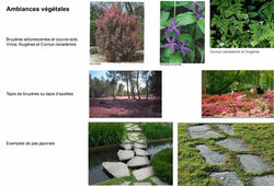 Jardin - Sud finistère