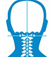 Balanced head and neck is ideal for NUCCA