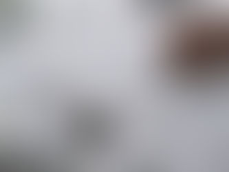 Relevance of Engineer's Day