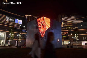 IMG_7865.JPG