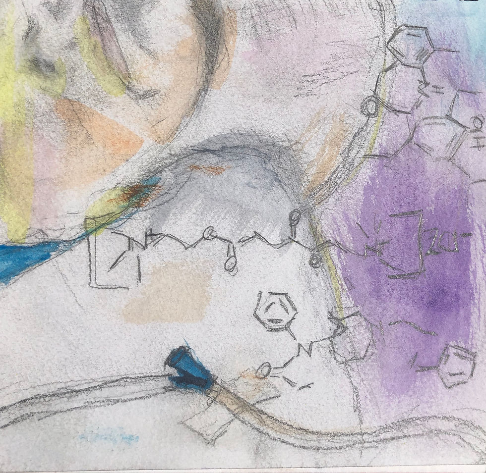 gaia lmastudy