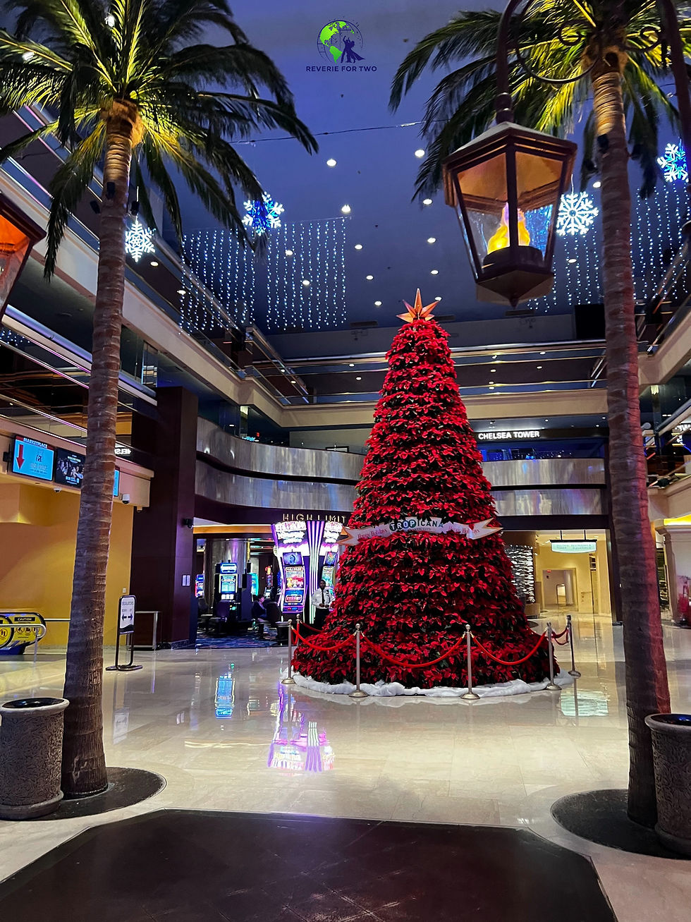We enjoyed lots of beautiful Christmas decorations.