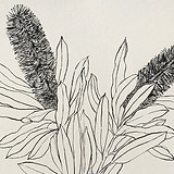 IMG_7538.jpeg