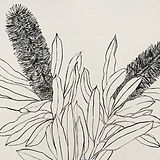 IMG_7538.jpeg