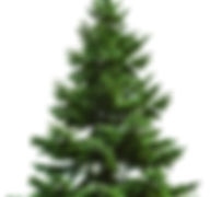 AdobeStock_9877999.jpeg