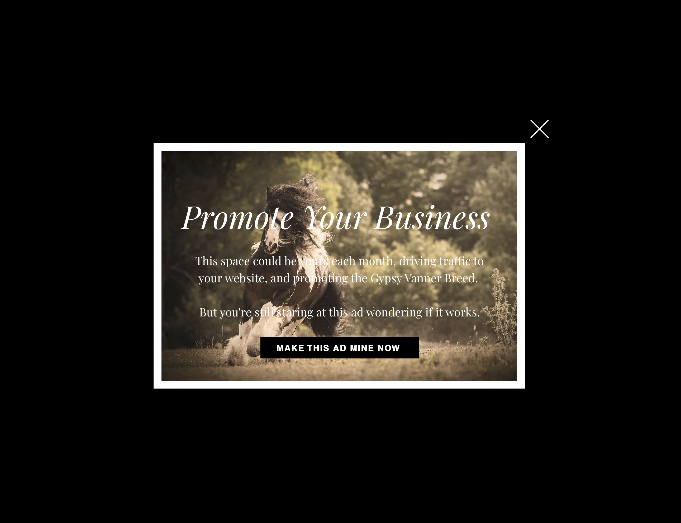 The Vanner Website Pop-Up Ad