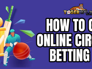 Exploring Micro-Betting: A New Era in Cricket Betting