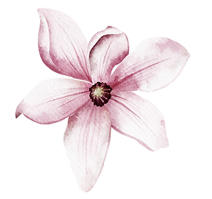 Hier finden Sie Wege, um Körper, Geist und Seele auf sanfte Weise wieder in Harmonie zu bringen. Birgit Bertl bietet Sakralenergetik™, Craniosacrale Biodynamik sowie Bachblüten-Austestungen mit standardisierten & persönlichen Mischungen an.