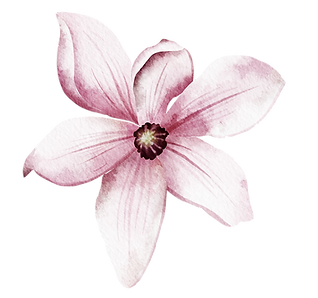 Hier finden Sie Wege, um Körper, Geist und Seele auf sanfte Weise wieder in Harmonie zu bringen. Birgit Bertl bietet Sakralenergetik™, Craniosacrale Biodynamik sowie Bachblüten-Austestungen mit standardisierten & persönlichen Mischungen an.