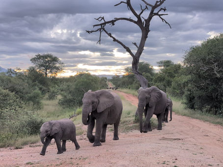 The Call of the South: A Chef's Reflection